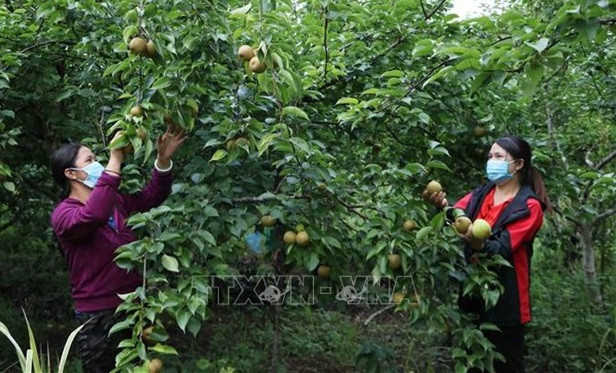 Programme cible national de réduction durable de la pauvreté pour 2021-2025 ảnh 1