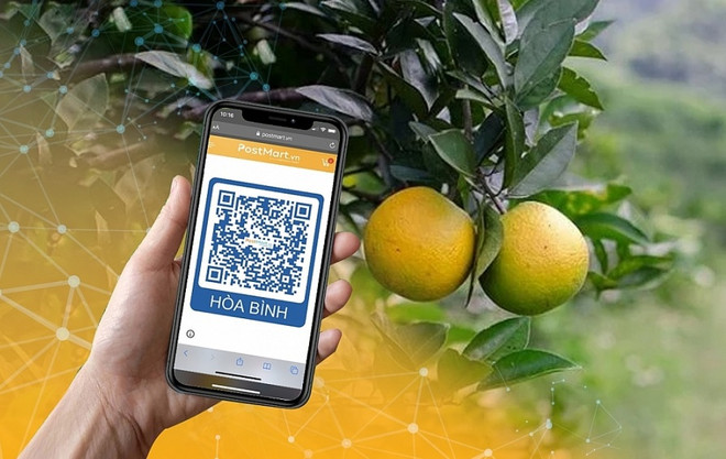 La Poste du Vietnam donne un coup de main aux agriculteurs dans le commerce en ligne ảnh 1 La Poste du Vietnam donne un coup de main aux agriculteurs dans le commerce en ligne ảnh 1