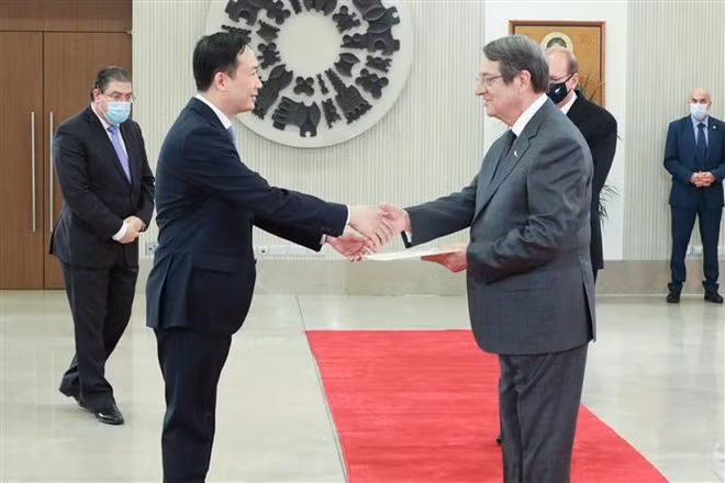 De bonnes perspectives pour les relations Vietnam-République de Chypre ảnh 1