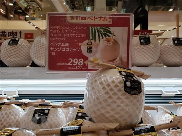 Bientôt un webinaire Vietnam-Japon sur le commerce d’aliments transformés ảnh 1 Bientôt un webinaire Vietnam-Japon sur le commerce d’aliments transformés ảnh 1