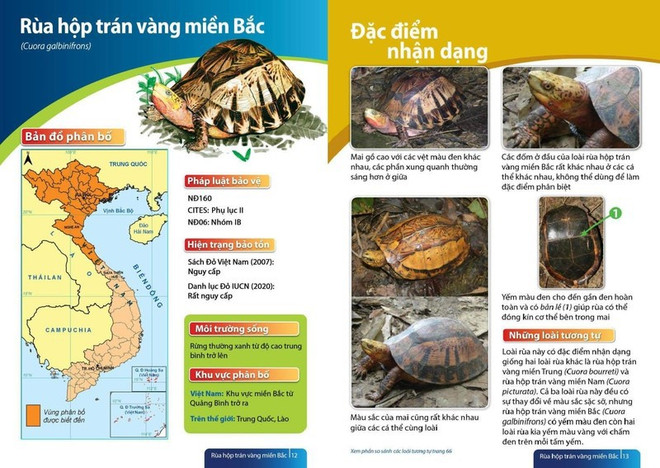 Publication d'un guide sur les tortues terrestres et d'eau douce du Vietnam ảnh 1