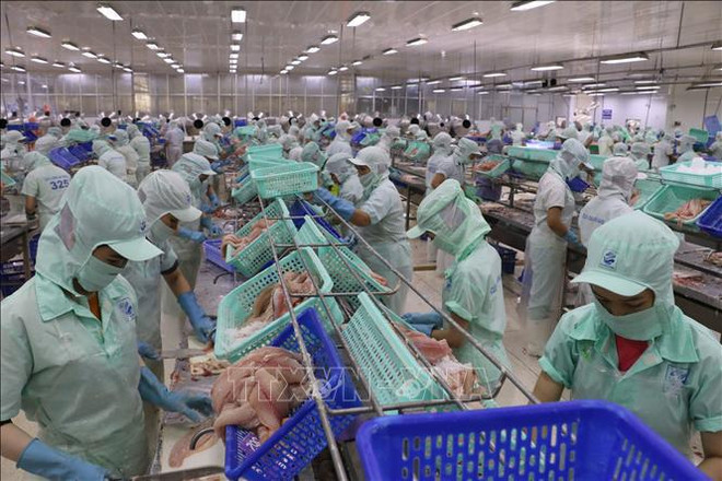 L'Office commercial du Vietnam en Australie contribue à la croissance des échanges commerciaux ảnh 1 L'Office commercial du Vietnam en Australie contribue à la croissance des échanges commerciaux ảnh 1