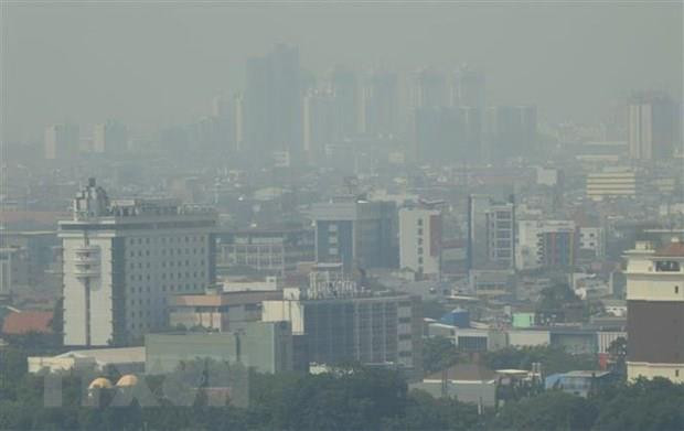 ASEAN : de nombreux risques d'incendies de forêts ảnh 1 ASEAN : de nombreux risques d'incendies de forêts ảnh 1