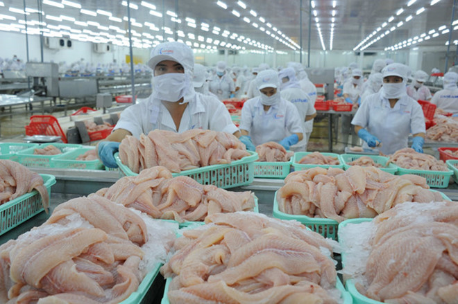Les Etats-Unis demeurent le plus grand débouché des produits aquatiques du Vietnam ảnh 1 Les Etats-Unis demeurent le plus grand débouché des produits aquatiques du Vietnam ảnh 1