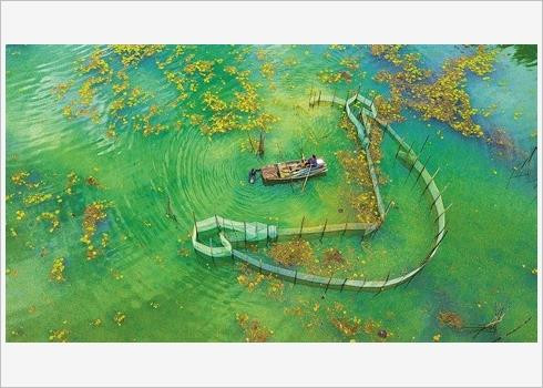 Ninh Binh accueillera l’Année nationale du tourisme 2020 ảnh 1 Ninh Binh accueillera l’Année nationale du tourisme 2020 ảnh 1