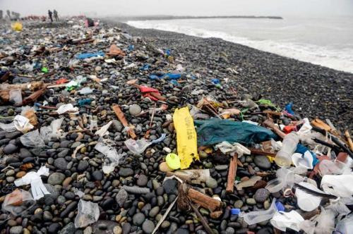 L'Alliance pour mettre fin aux déchets plastiques se concentre sur l'Asie du Sud-Est ảnh 1 L'Alliance pour mettre fin aux déchets plastiques se concentre sur l'Asie du Sud-Est ảnh 1