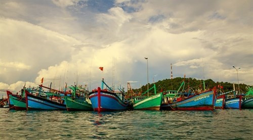 Binh Thuan oeuvre pour mettre fin à la pêche INN ảnh 1 Binh Thuan oeuvre pour mettre fin à la pêche INN ảnh 1