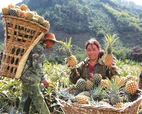 Lào Cai: la vitalité d’une région frontalière ảnh 2 Lào Cai: la vitalité d’une région frontalière ảnh 2