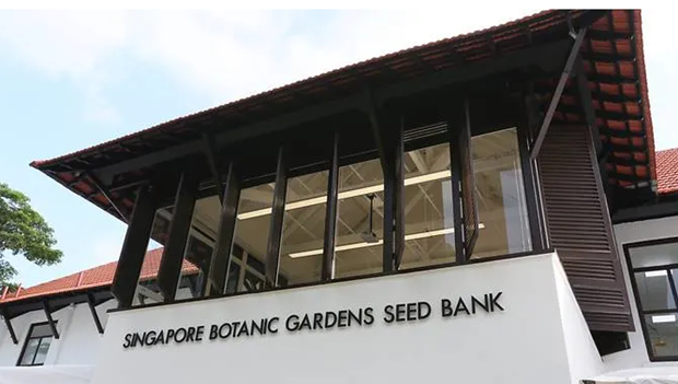 Singapour crée sa première banque de graines ảnh 1 Singapour crée sa première banque de graines ảnh 1
