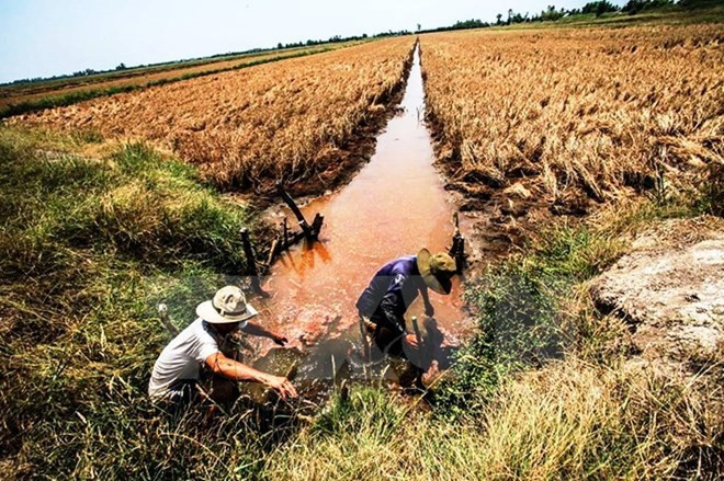 La salinisation menace le delta du Mékong ảnh 1 La salinisation menace le delta du Mékong ảnh 1