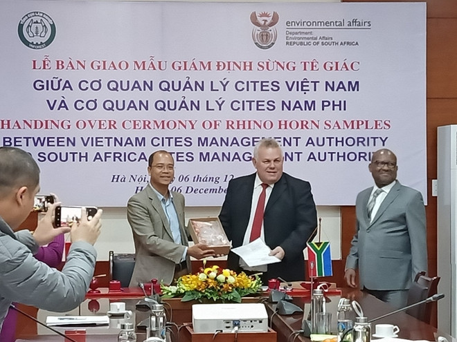 Vietnam : livraison des cornes de rhinocéros saisis à l’aéroport Noi Bai pour l’Afrique du Sud ảnh 1 Vietnam : livraison des cornes de rhinocéros saisis à l’aéroport Noi Bai pour l’Afrique du Sud ảnh 1