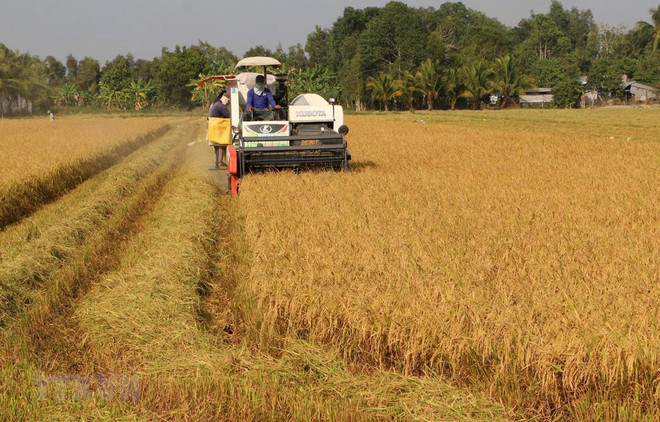 Le secteur agricole en pénurie d’environ 3,2 millions de travailleurs qualifiés en 2020 ảnh 1 Le secteur agricole en pénurie d’environ 3,2 millions de travailleurs qualifiés en 2020 ảnh 1