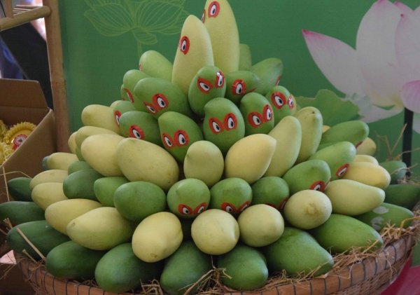 Exportation de mangues fraîches aux Etats-Unis ảnh 1