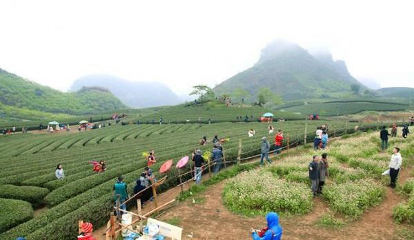Approbation de l’aménagement global du futur site touristique national de Moc Chau-Trang ảnh 1 Approbation de l’aménagement global du futur site touristique national de Moc Chau-Trang ảnh 1