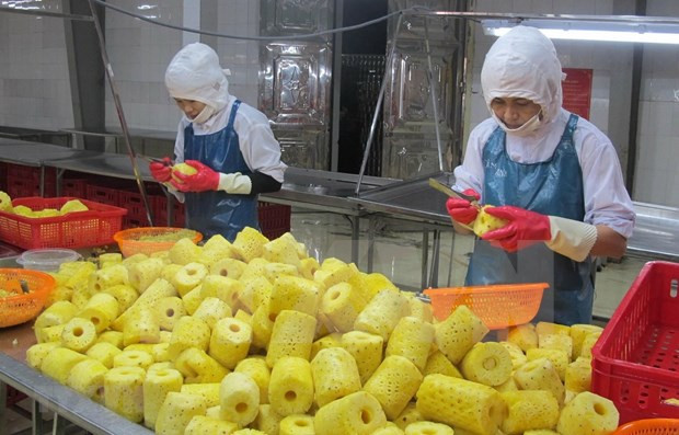 Promouvoir les exportations de produits agricoles et aquatiques vers la Chine ảnh 3