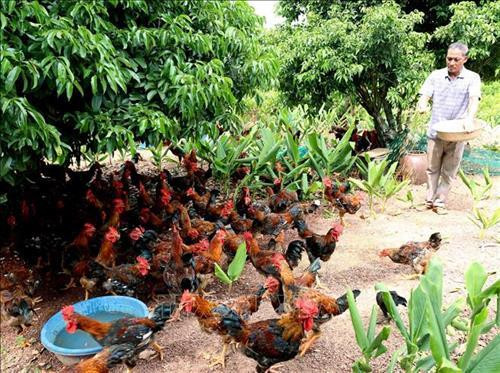 Bac Giang s’intéresse à l’essor socio-économique des ethnies minoritaires ảnh 1 Bac Giang s’intéresse à l’essor socio-économique des ethnies minoritaires ảnh 1