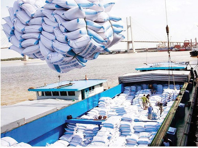 Can Tho : les exportations de marchandises en hausse de près de 12% ảnh 1 Can Tho : les exportations de marchandises en hausse de près de 12% ảnh 1