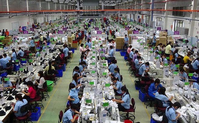 Le vice-Premier ministre Trinh Dinh Dung reçoit le vice-président du groupe américain Hanesbrands ảnh 1