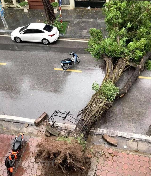 Tempête Wipha : un mort et 15 disparus ảnh 1 Tempête Wipha : un mort et 15 disparus ảnh 1