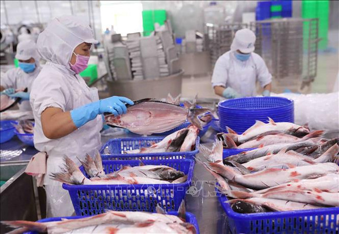 Accroître la compétitivité des produits agricoles vietnamiens sur le marché américain ảnh 1 Accroître la compétitivité des produits agricoles vietnamiens sur le marché américain ảnh 1
