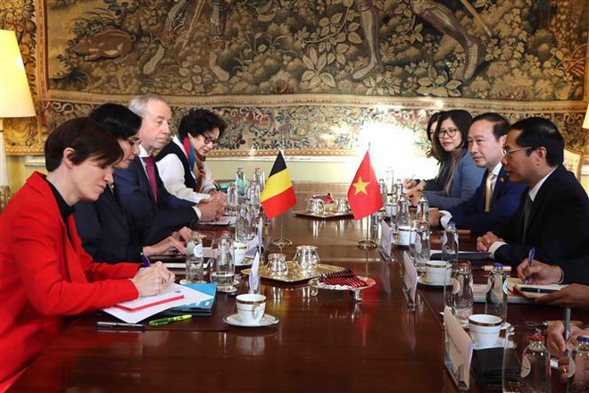 La Belgique aidera le Vietnam à décontaminer des sites pollués par l'agent orange ảnh 3 La Belgique aidera le Vietnam à décontaminer des sites pollués par l'agent orange ảnh 3