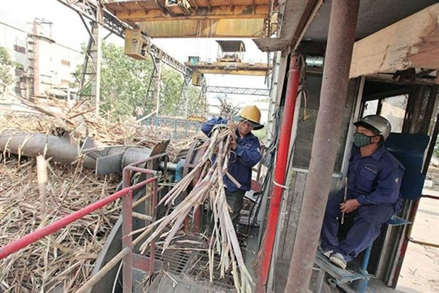 Les entreprises sucrières prospèrent avec de solides performances commerciales en 2023 ảnh 1