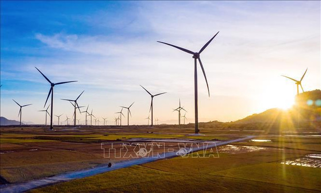 Le Vietnam, l’UE et la Belgique renforcent leur coopération verte et durable ảnh 1