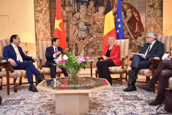 La Belgique aidera le Vietnam à décontaminer des sites pollués par l'agent orange ảnh 2 La Belgique aidera le Vietnam à décontaminer des sites pollués par l'agent orange ảnh 2