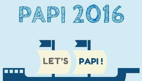 PAPI 2016: les services publics continuent de s'améliorer ảnh 1 PAPI 2016: les services publics continuent de s'améliorer ảnh 1