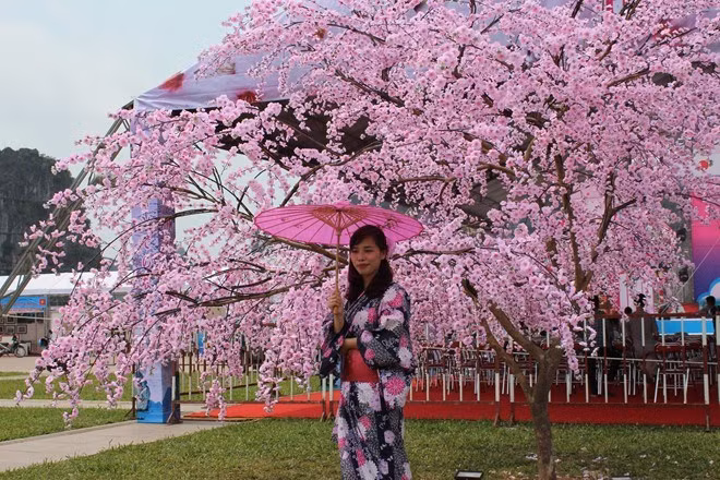 Hanoi lance des activités d'échanges culturels avec le Japon ảnh 1
