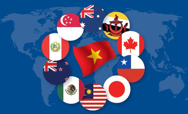 Le CPTPP, l’examen des résultats actuels et les implications pour l’avenir ảnh 1 Le CPTPP, l’examen des résultats actuels et les implications pour l’avenir ảnh 1