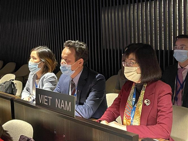 UNESCO, 75 ans à préserver le passé, accompagner le présent et construire le futur de l'humanité ảnh 2 UNESCO, 75 ans à préserver le passé, accompagner le présent et construire le futur de l'humanité ảnh 2