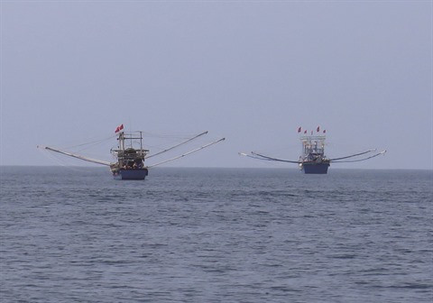 De nouvelles mesures contre la pêche illicite ảnh 1 De nouvelles mesures contre la pêche illicite ảnh 1