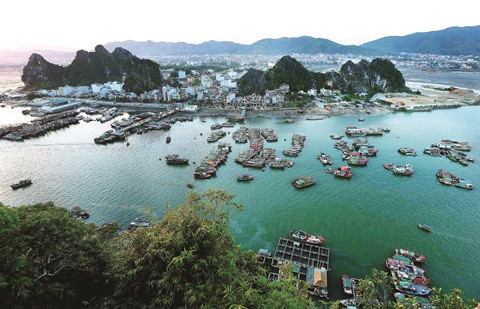 À l’est de la baie de Ha Long ảnh 1