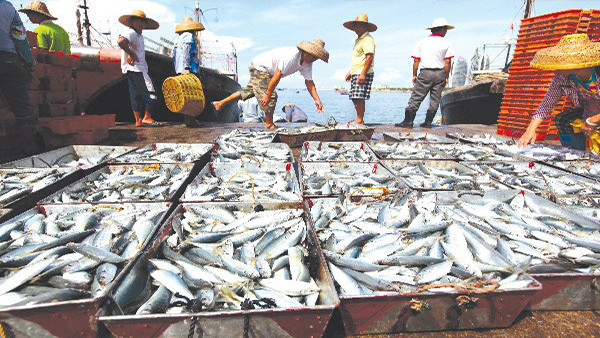 Investissement dans des projets dans 4 provinces du Centre avec la société Formosa ảnh 1 Investissement dans des projets dans 4 provinces du Centre avec la société Formosa ảnh 1