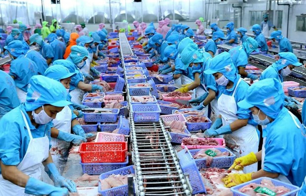 Le secteur aquatique s’efforce de tirer parti des avantages du CPTPP ảnh 1 Le secteur aquatique s’efforce de tirer parti des avantages du CPTPP ảnh 1