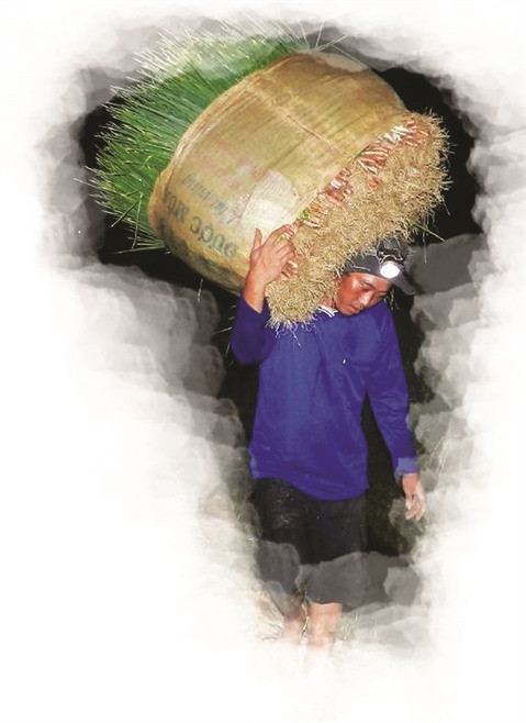 Les paysans de l’ombre ảnh 1 Les paysans de l’ombre ảnh 1