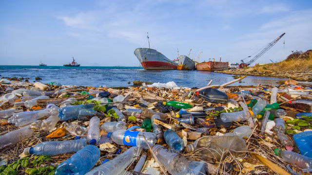 Journée mondiale de la Terre célébrée à Hanoi ảnh 1 Journée mondiale de la Terre célébrée à Hanoi ảnh 1