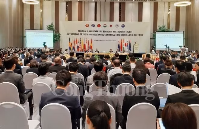 RCEP : ouverture d’un nouveau round de négociations à Da Nang ảnh 1