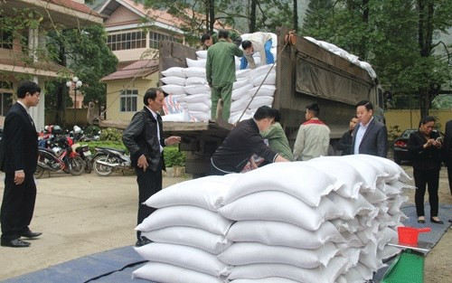 L'aide de 7 800 tonnes de riz à plus de 520 000 personnes démunies avant le Têt ảnh 1 L'aide de 7 800 tonnes de riz à plus de 520 000 personnes démunies avant le Têt ảnh 1