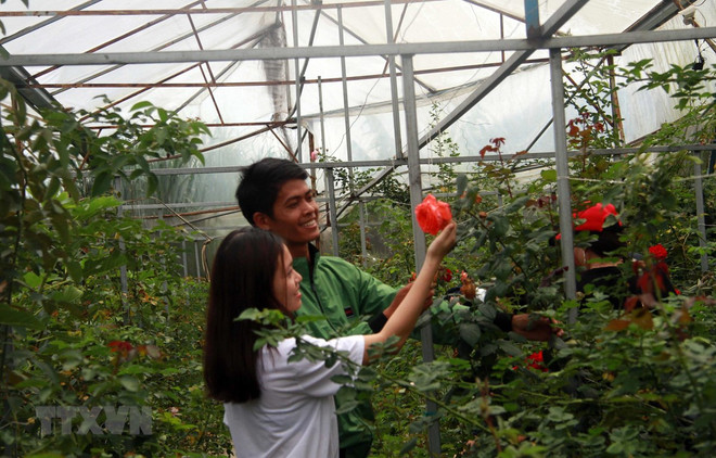 Agoda.com dévoile la liste des principales destinations estivales pour les voyageurs vietnamiens ảnh 1 Agoda.com dévoile la liste des principales destinations estivales pour les voyageurs vietnamiens ảnh 1