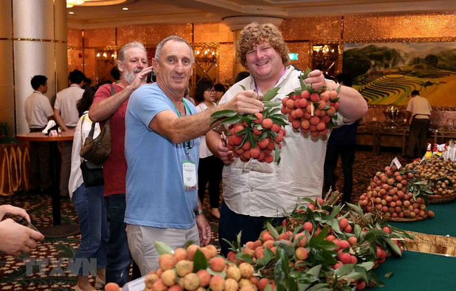 Partage d'expériences dans la transformation de produits à partir de longanes et de litchis ảnh 1