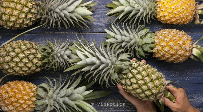 Les dirigeants singapouriens intéressés par l'importation de fruits et légumes du Vietnam ảnh 1 Les dirigeants singapouriens intéressés par l'importation de fruits et légumes du Vietnam ảnh 1