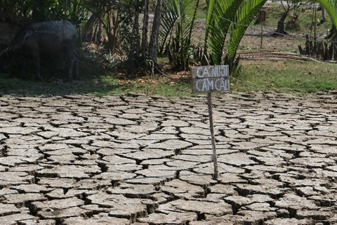 Le delta du Mékong lutte contre la sécheresse et la salinisation ảnh 1 Le delta du Mékong lutte contre la sécheresse et la salinisation ảnh 1