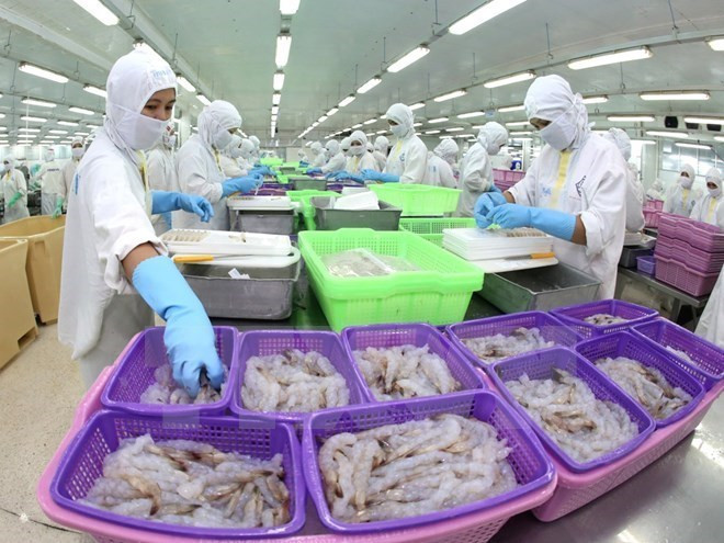 Les exportateurs de crevettes vietnamiens vers les États-Unis bénéficieront de droits nuls ảnh 1 Les exportateurs de crevettes vietnamiens vers les États-Unis bénéficieront de droits nuls ảnh 1