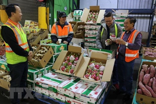 Les exportations de fruits et légumes ont chuté de 9,3% au premier trimestre ảnh 1 Les exportations de fruits et légumes ont chuté de 9,3% au premier trimestre ảnh 1