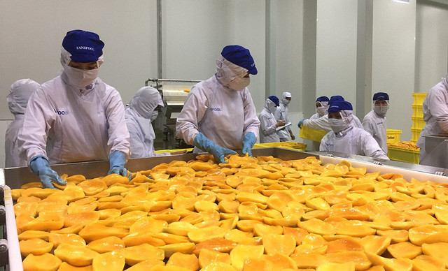 Hô Chi Minh-Ville: les exportations s'établissent à plus de 6 milliards de dollars en 2 mois ảnh 1 Hô Chi Minh-Ville: les exportations s'établissent à plus de 6 milliards de dollars en 2 mois ảnh 1