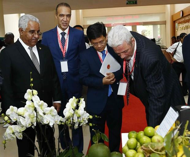 Coopération agricole entre le Vietnam et le Moyen-Orient et l’Afrique ảnh 1 Coopération agricole entre le Vietnam et le Moyen-Orient et l’Afrique ảnh 1