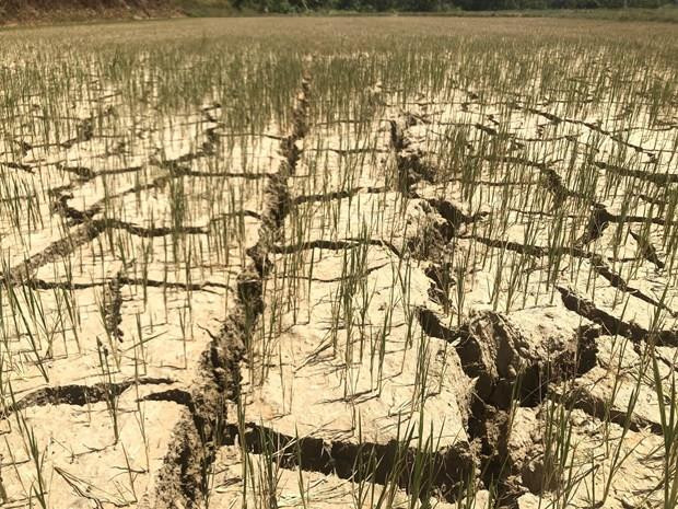 Le Vietnam soutient la déclaration d'urgence sur la nature et l’homme ảnh 1 Le Vietnam soutient la déclaration d'urgence sur la nature et l’homme ảnh 1