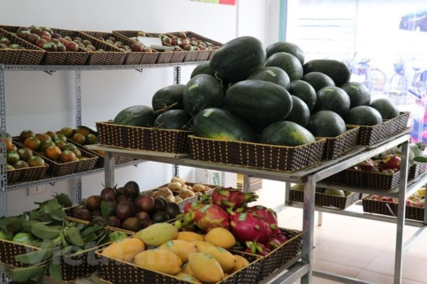 Nouvel An lunaire : L'IPC augmente légèrement de 0,1% grâce à une offre abondante de biens ảnh 2